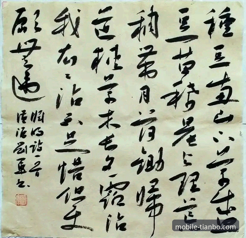 从亚历山大47分加时神迹，到移动端观赛体验：一份天博官方app下载教程iOS版深度指南